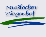 Schriftzug